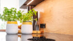 Küche Regal und Schränke aus Eiche und schwarz - Holzquadrat OHG